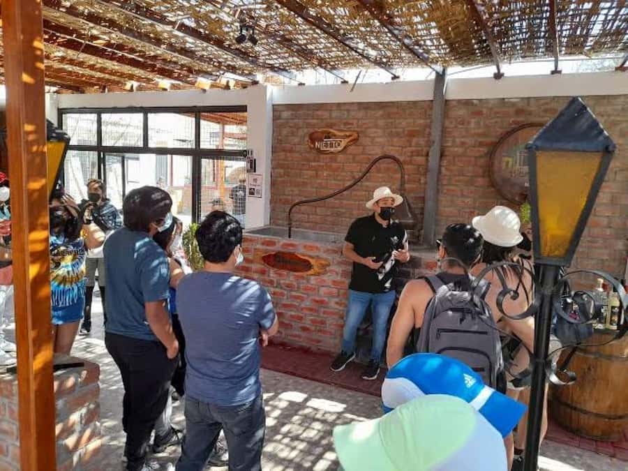 Ica: Tacama Winery and Pisco Tasting Tour with Hotel Pickup - Lazo Winery and its unusual old cava