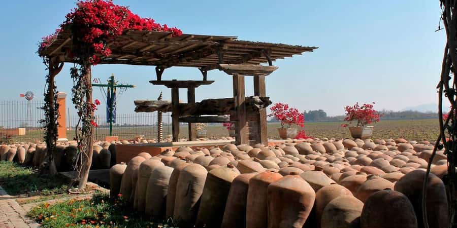 Ica: Winery Tour with Pisco and Wine Tasting - The Lazo Winery Museum’s Surprising Collection