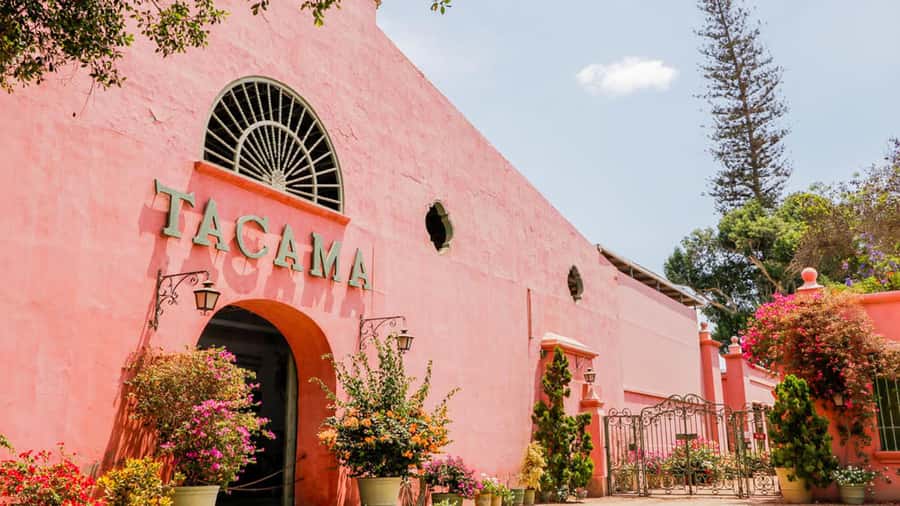 Ica: Winery Tour with Pisco and Wine Tasting - Booking Flexibility and Practical Planning