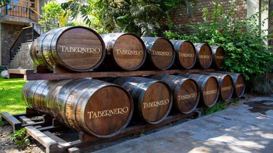 Ica: Winery Tour with Pisco and Wine Tasting - Starting at El Catador Winery