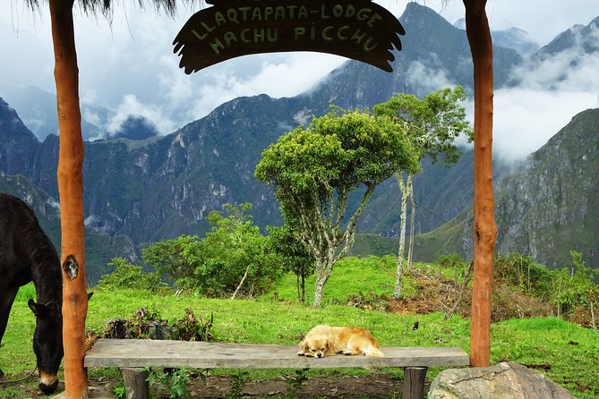 Inca Jungle Premium to Machu Picchu 4-Day and 3-Nights - Why this route is different from the usual Machu Picchu trip