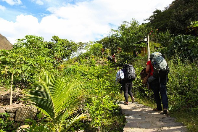 Inca Jungle Premium to Machu Picchu 4-Day and 3-Nights - Day three: The flat trail from Hydroelectric to Aguas Calientes