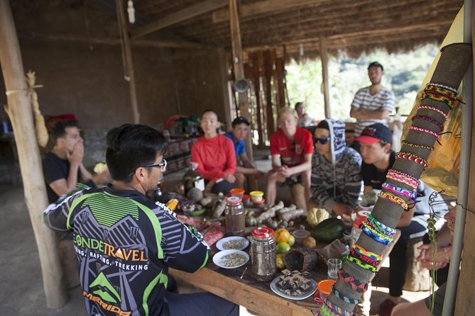 Inca Jungle Premium to Machu Picchu 4-Day and 3-Nights - Day two: Four hours through the high forest