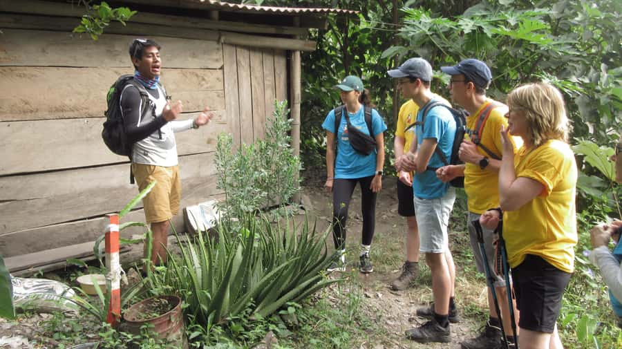 Inca Jungle Trail to Machu Picchu in 4 Days - Day 1: from Cusco to the Abra Malaga descent