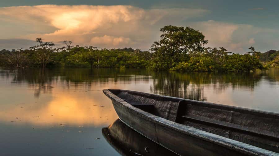 Iquitos: 2 Days and 1 Night Guided Amazon Jungle Tour - Meeting the Yagua community