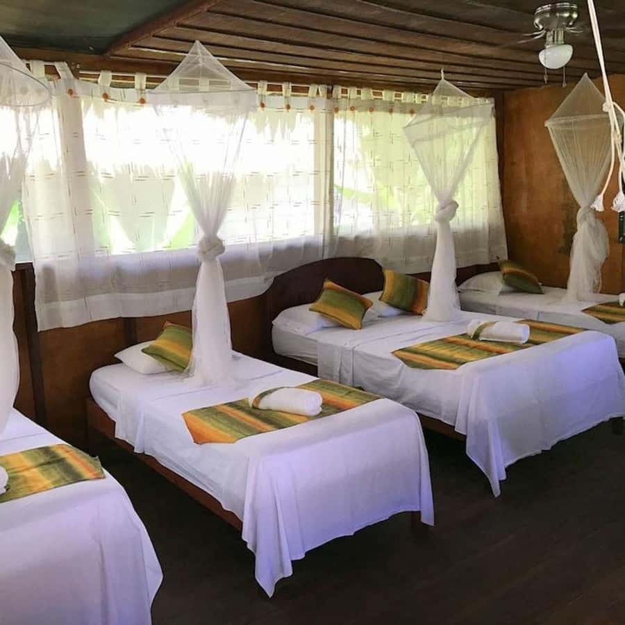 Iquitos: 2 Days and 1 Night Guided Amazon Jungle Tour - Monkeys, macaws, sloths, and anacondas