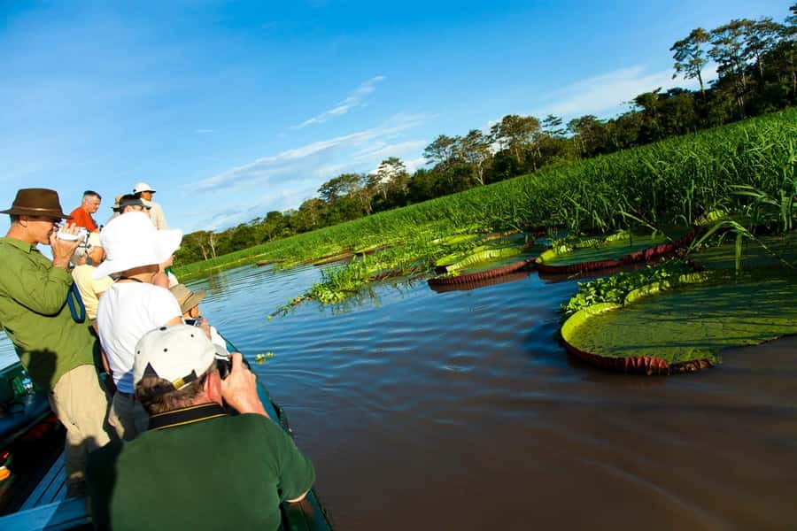 Iquitos: 3 Days and 2 Nights Guided Amazon Jungle Tour - Dawn birds and the 26-meter lookout
