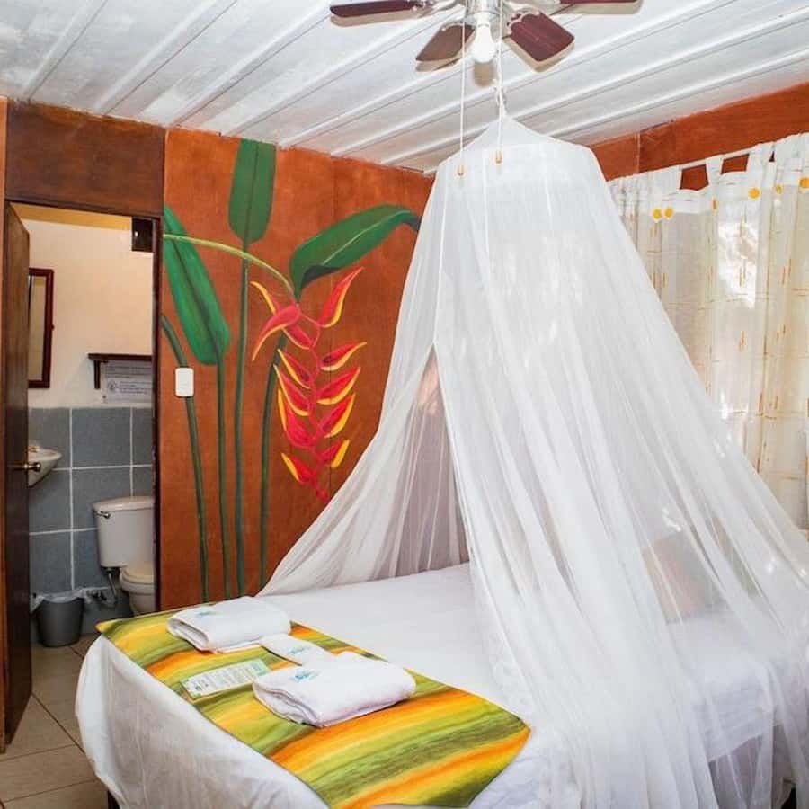 Iquitos: 3 Days and 2 Nights Guided Amazon Jungle Tour - What the $434 price covers