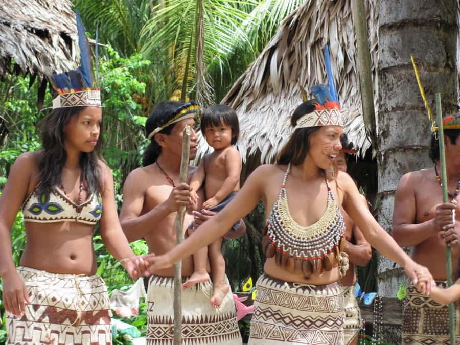 Iquitos: 5 Days inside the Rainforest | Amazon Jungle Tour - Sunrise sounds and the Wildlife Rescue Center