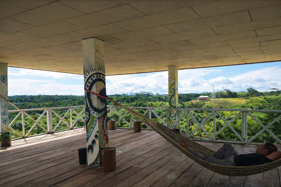 Iquitos: 6-Hour Wonderful Wildlife Guided Tour - Victoria amazonica, the Amazon’s giant lily