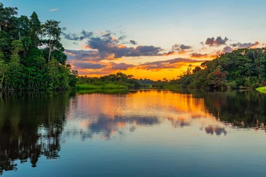 Iquitos: Amazon Jungle in 2 Days: Adventure and Expedition - Key points to know before booking
