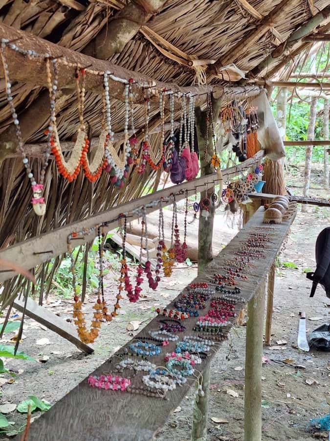 Iquitos: Amazon River Tribes Full-Day Tour with Lunch - What the $132 price really buys