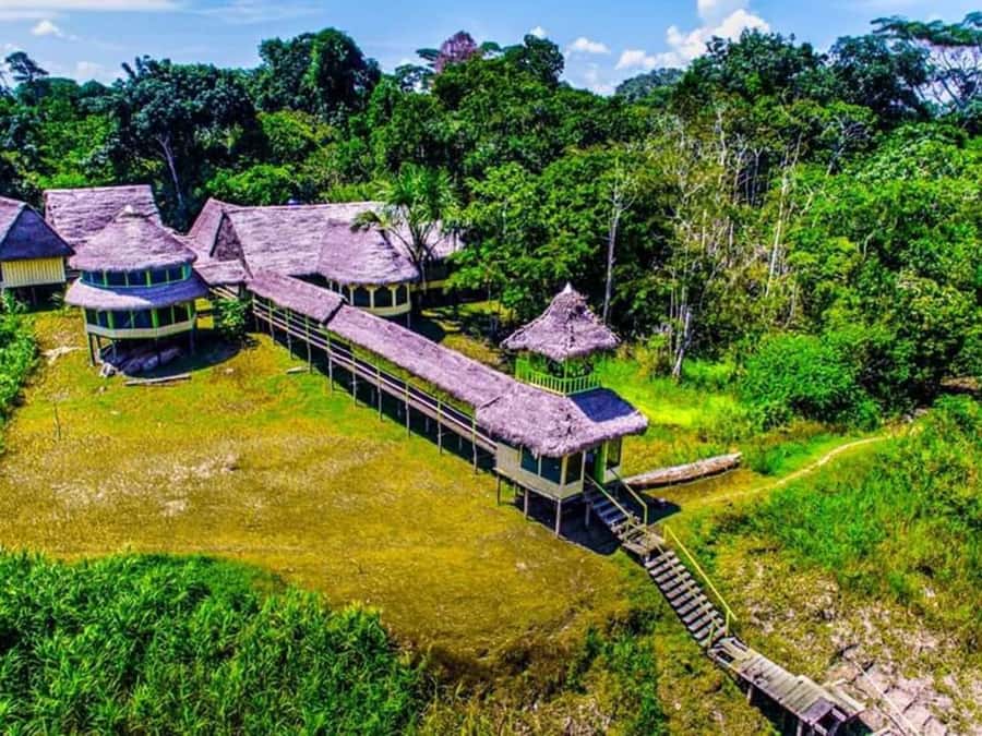 Iquitos : Full Day Excursion to Monkey Island - A full Amazon day from Iquitos