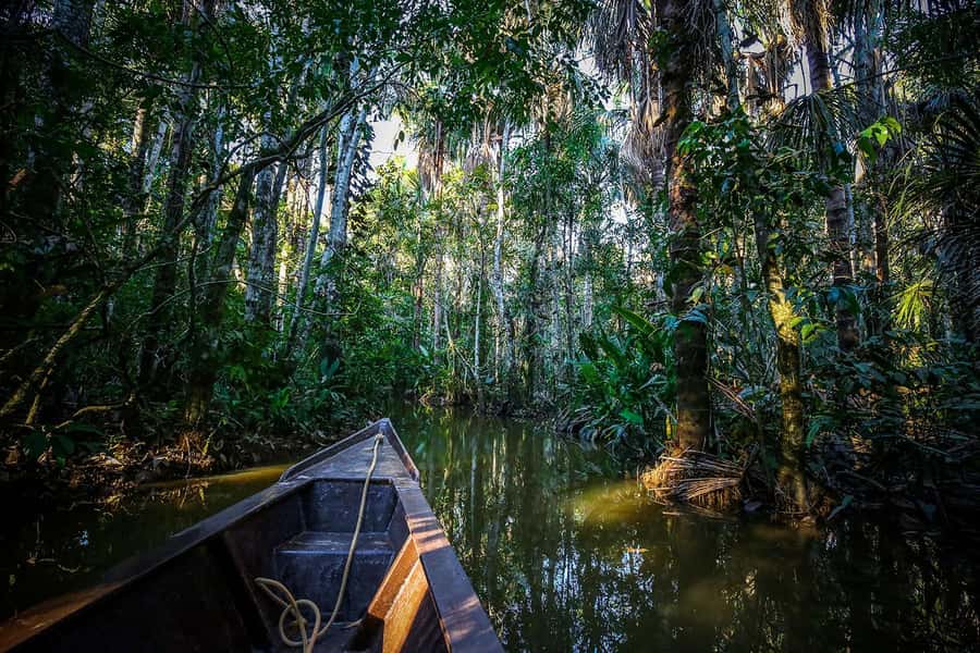 Iquitos: Full Day Tour in the Jungle | Amazon Safari - Monkey Island at Neyser