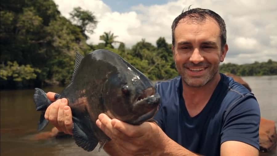 Iquitos: Piranha Fishing Experience in the Amazon jungle - Key points to know before you go
