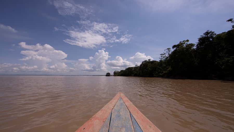 Iquitos: Piranha Fishing Experience in the Amazon jungle - What the guide adds to the experience