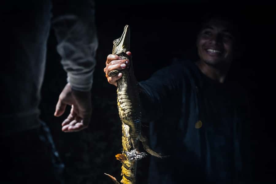 Iquitos to the Amazon: 2-Day Jungle & Wildlife Experience - Sunset, dinner, and the forest after dark