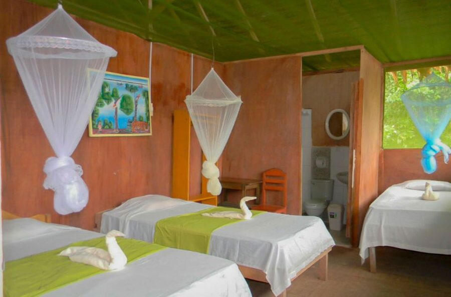 Iquitos to the Amazon: 2-Day Jungle & Wildlife Experience - Sunrise birds and the second morning