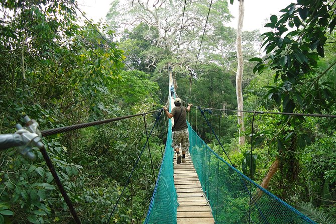 Jungle Eco Jungle And Adventure - 4 Days / 3 Nights - What the $325 price really buys you