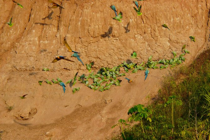 Jungle Eco Jungle And Adventure - 4 Days / 3 Nights - Guides make the difference