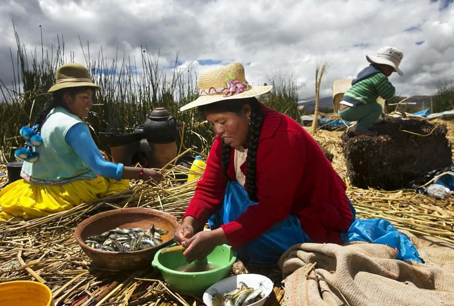 Lake Titicaca, Uros and Taquile Full-Day Tour - Leaving Puno for the World’s Highest Navigable Lake
