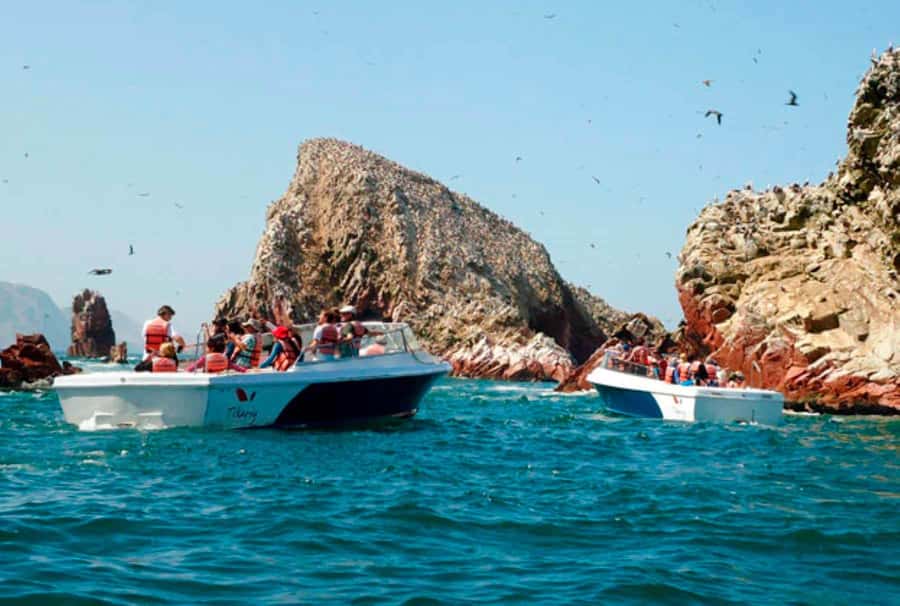 Lima: 7-Day Inca Tour with Flights and Machu Picchu - Guides, transfers, and communication
