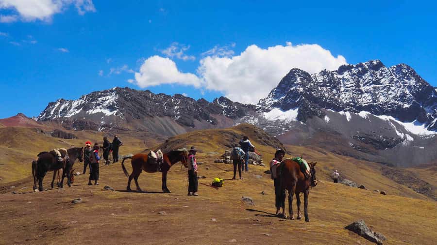 Lima: 7-Day Inca Tour with Flights and Machu Picchu - Why this Peru route works