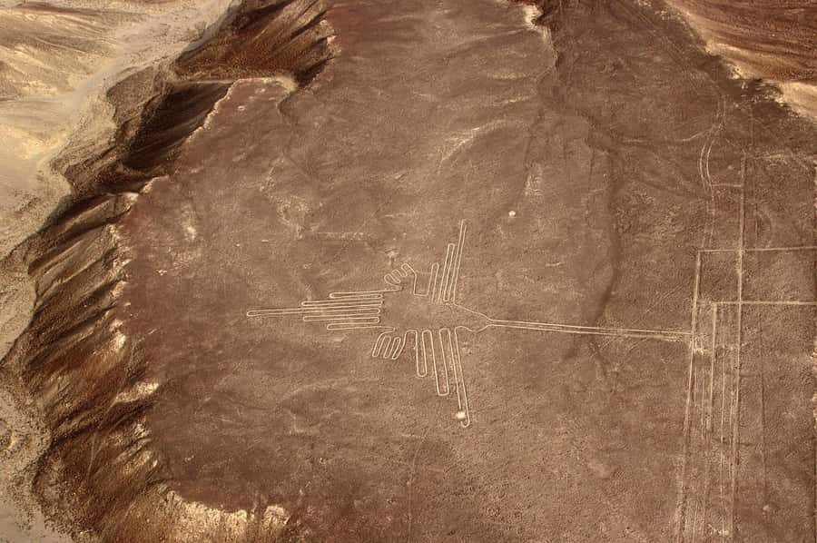 Lima: Ballestas & Huacachina Day Trip w/ Nazca Lines Flight - Who should book this experience?