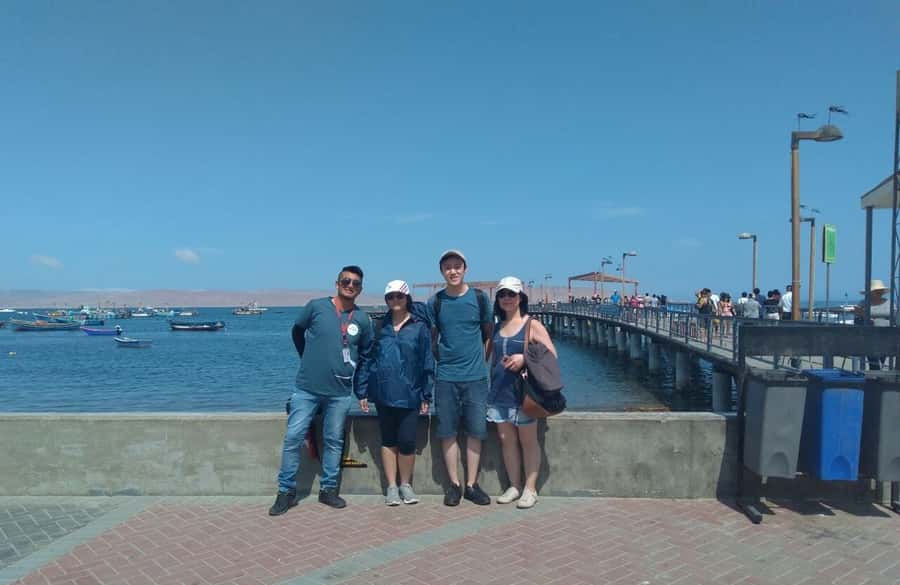 Lima: Ballestas Islands, Huacachina Oasis & Nazca Lines Tour - Ballestas Islands and the morning wildlife cruise