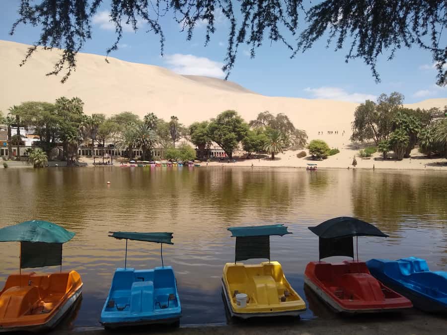 Lima: Ballestas Islands, Huacachina Oasis & Nazca Lines Tour - Lunch break and the road toward Huacachina