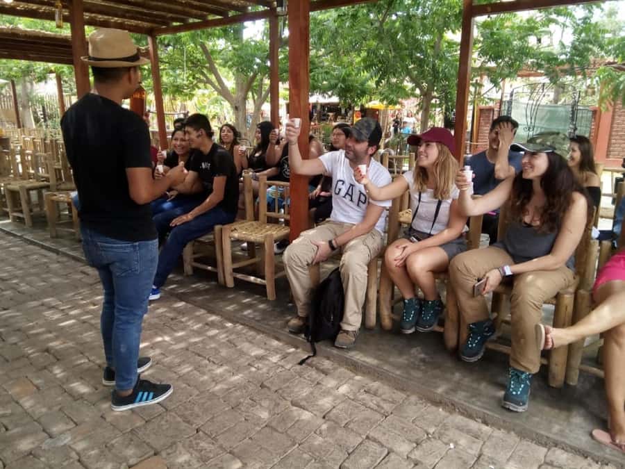Lima: Ballestas Islands, Huacachina Oasis & Nazca Lines Tour - Huacachina, sandboarding, and the V8 buggy ride