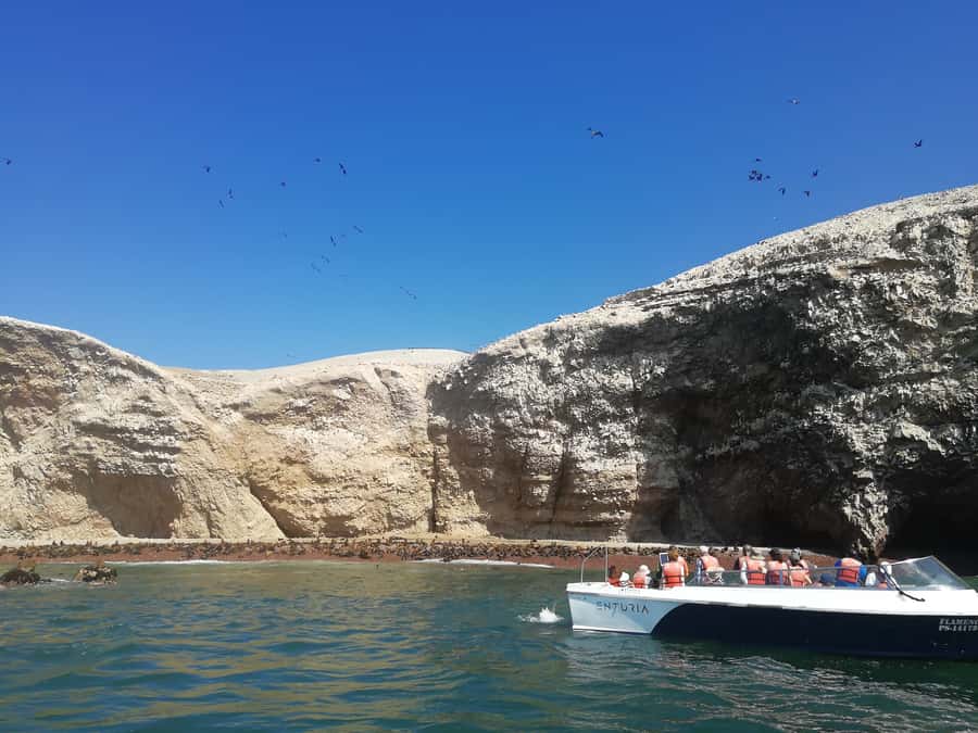 Lima: Ballestas Islands, Winery and Nazca Lines Private Tour - Key points at a glance