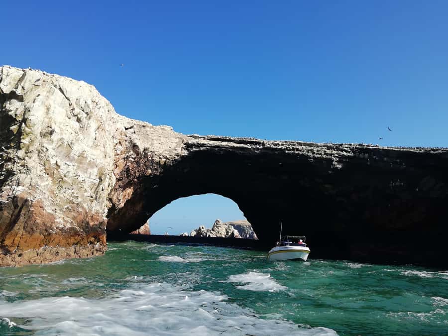 Lima: Ballestas Islands, Winery and Nazca Lines Private Tour - Should you book this Lima day trip?