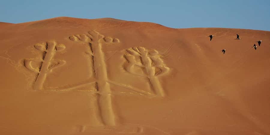 Lima: Ballestas Islands, Winery and Nazca Lines Private Tour - Paracas National Reserve and the desert coast