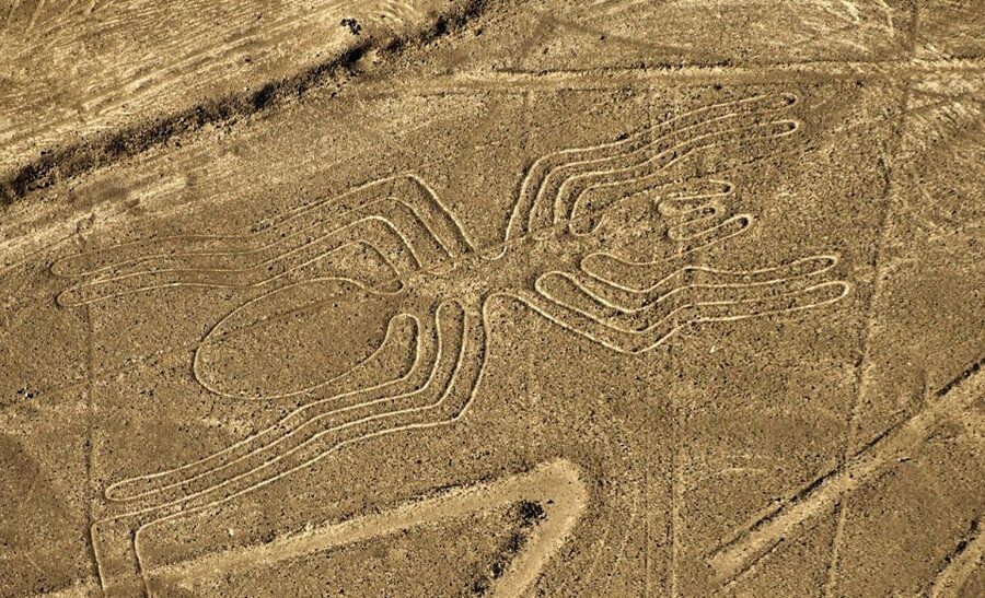 Lima: Ballestas Islands, Winery and Nazca Lines Private Tour - What to bring for this 14-hour day