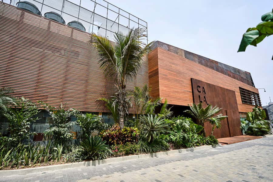 Lima: Demo Cooking Class with Lunch at Cala Restaurant - Who should book this experience?