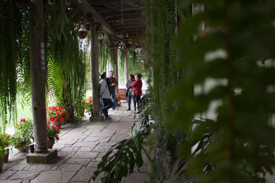 Lima: Half-Day Colonial Lima and Larco Museum Tour - Why Larco Museum is the tour’s strongest finish