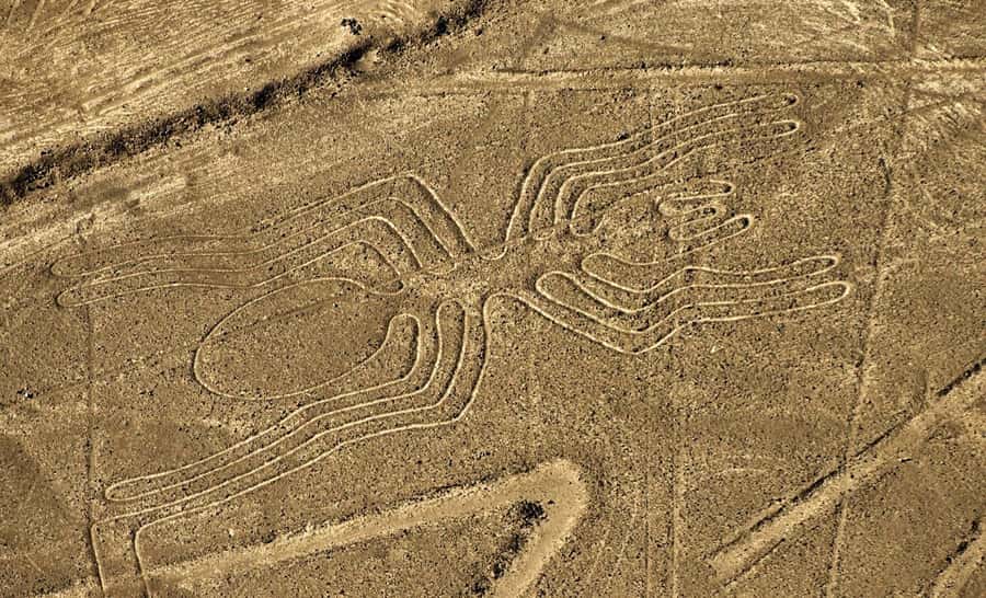 Lima: Huacachina, Winery, & Nazca Lines from Pisco Airport - Why this long Lima day is built around the Nazca Lines