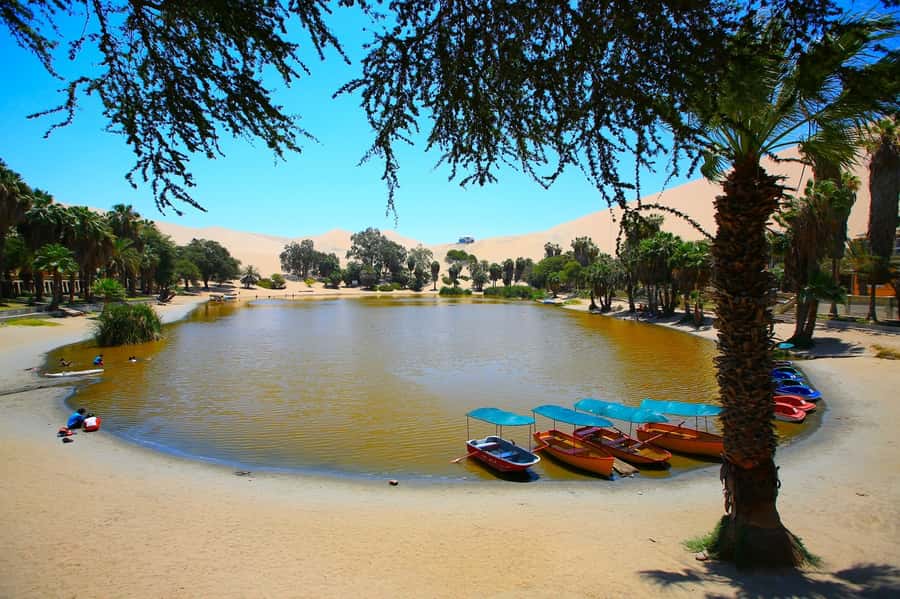 Lima: Huacachina, Winery, & Nazca Lines from Pisco Airport - Guides, drivers, and the small-group setup