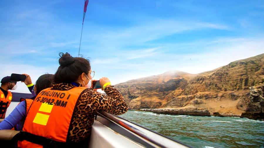 Lima | Islas Palomino Tour | Swim with Sea Lions - Key points at a glance
