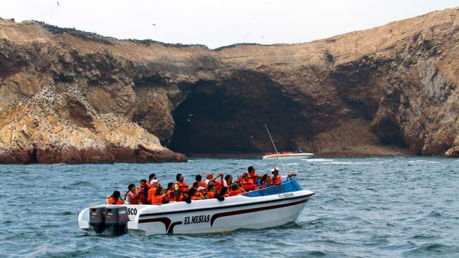 Lima | Islas Palomino Tour | Swim with Sea Lions - Meeting the sea lions at Palomino Island