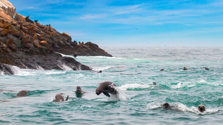 Lima | Islas Palomino Tour | Swim with Sea Lions - Leaving Callao and crossing the working harbor