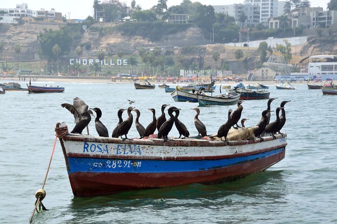 Lima Off the Beaten Path: Local Communities and Cultural Immersion - What the guides add to the day
