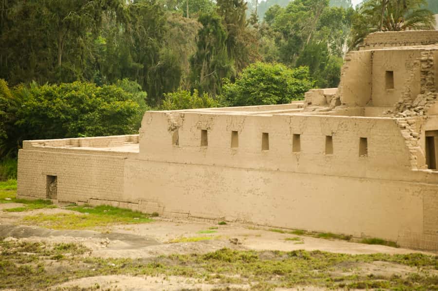 Lima: Pachacamac Ruins & Barranco Half-Day Guided Tour - What the guide and driver add
