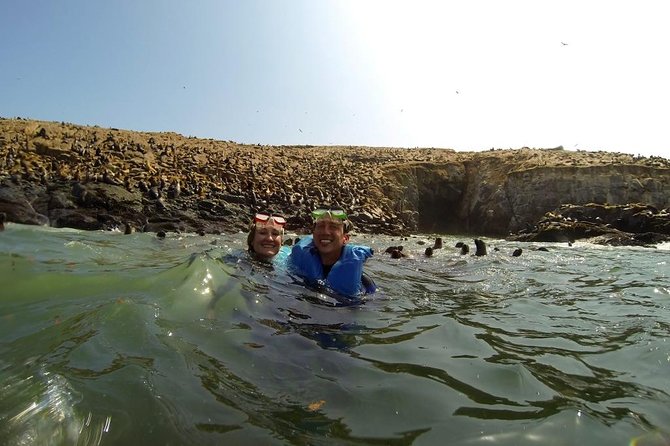 Lima: Palomino Islands Excursion & Swimming with Sea Lions with Hotel Transfers - Watching Penguins, Cormorants, and Terns