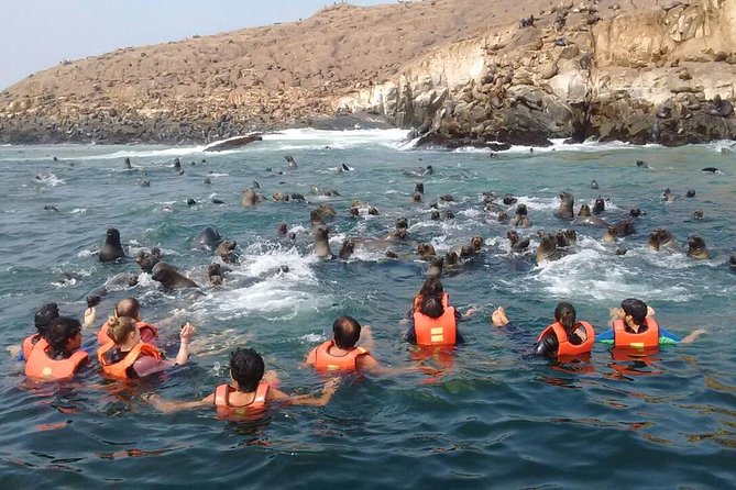 Lima: Palomino Islands Excursion & Swimming with Sea Lions with Hotel Transfers - The Reality of the Smell and the Cold