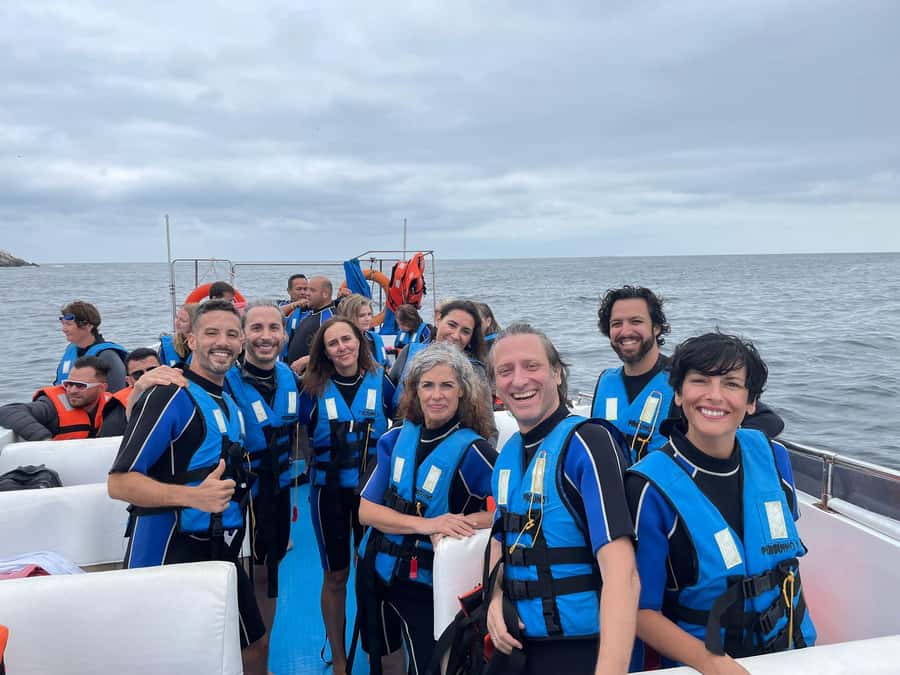 Lima: Palomino Islands Speedboat Tour & Swim with Sea Lions - From Your Lima Hotel to Callao Harbor