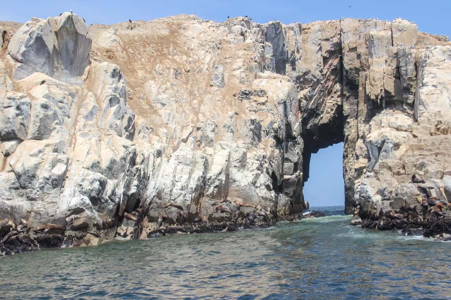 Lima: Palomino Islands Speedboat Tour & Swim with Sea Lions - El Camotal, San Lorenzo, and the Palomino Islands
