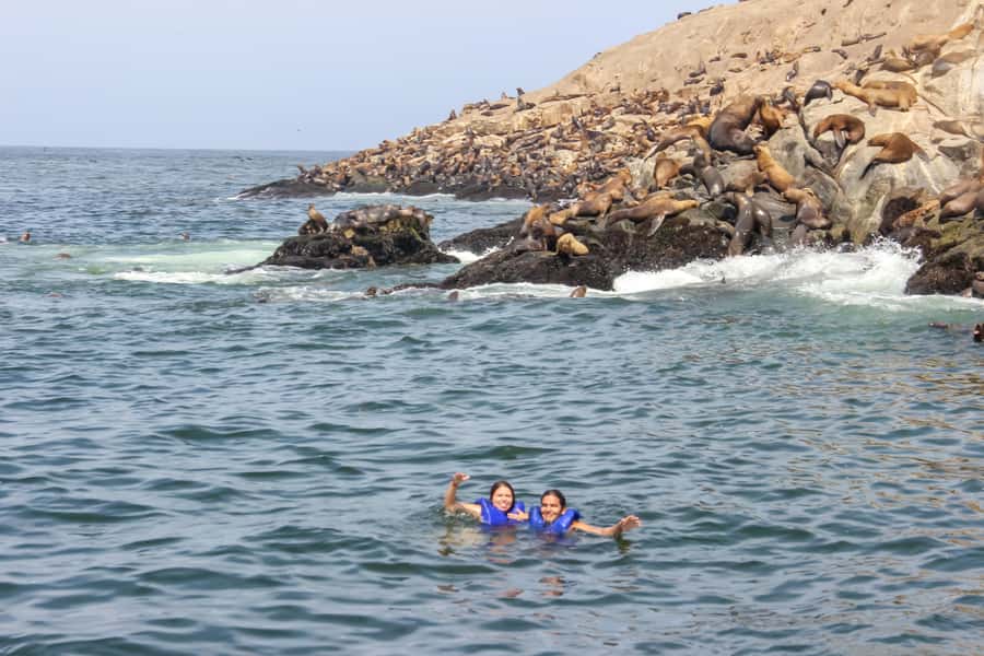 Lima: Palomino Islands Speedboat Tour & Swim with Sea Lions - Swimming Beside Sea Lions