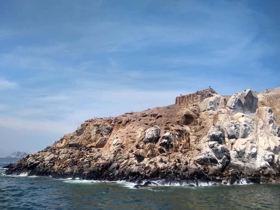 Lima: Palomino Islands Speedboat Tour & Swim with Sea Lions - Comfort, Packing, and Practical Limits